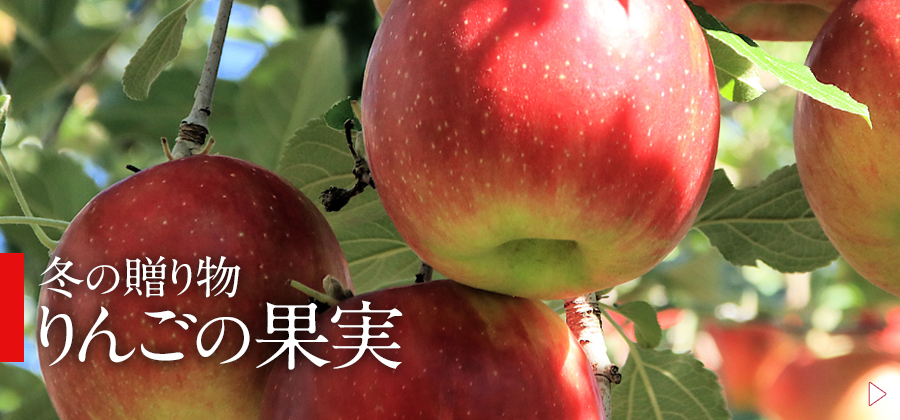 冬の贈り物,りんごの果実