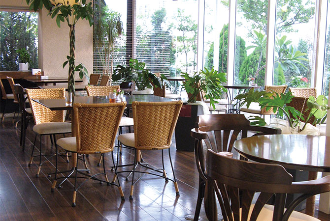 菜根本店イメージ3